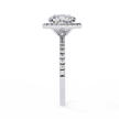 Round Brilliant Diamond Solitaire Ring in 10k–18k Gold