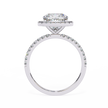 Round Brilliant Diamond Solitaire Ring in 10k–18k Gold