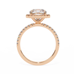 Round Brilliant Diamond Solitaire Ring in 10k–18k Gold
