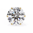 Noble Tulip Prong Diamond Stud Earrings — 10k–18k Gold