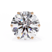 Noble Tulip Prong Diamond Stud Earrings — 10k–18k Gold