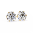 Noble Tulip Prong Diamond Stud Earrings — 10k–18k Gold