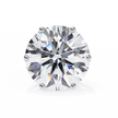 Noble Tulip Prong Diamond Stud Earrings — 10k–18k Gold