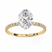 Round Brilliant Diamond Solitaire Ring in 10k–18k Gold