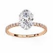 Round Brilliant Diamond Solitaire Ring in 10k–18k Gold