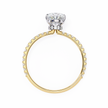 Round Brilliant Diamond Solitaire Ring in 10k–18k Gold
