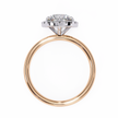 Diamond Solitaire Ring in 10k–18k Gold