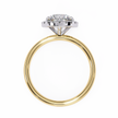 Diamond Solitaire Ring in 10k–18k Gold
