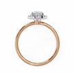 Diamond Solitaire Ring in 10k–18k Gold