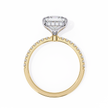 Round Brilliant Diamond Solitaire Ring in 10k–18k Gold