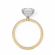 Round Brilliant Diamond Solitaire Ring in 10k–18k Gold