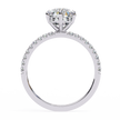 Diamond Solitaire Ring with Pavé Band — 10k–18k Gold